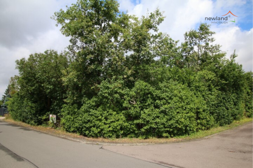 Baugrundstück in Machern kaufen! - Newland Immobilien GmbH Gerd Springer